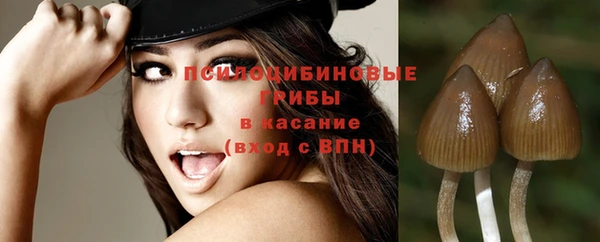 метамфетамин Алексеевка